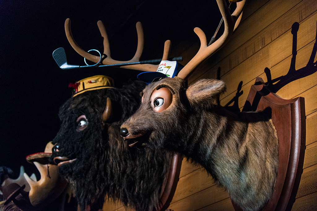 country-bear-jamboree-animal-heads