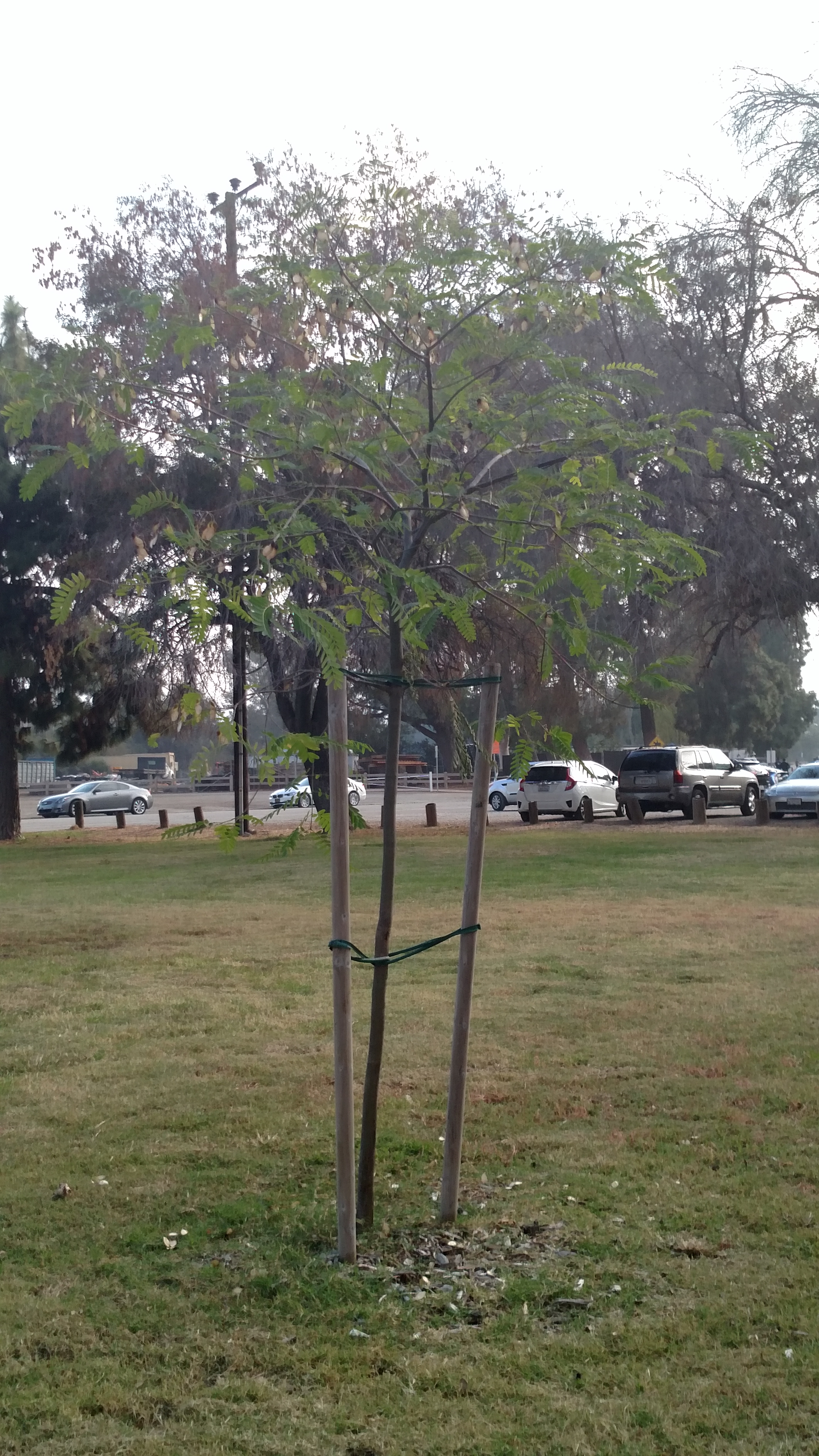 img_20161015_0846163181