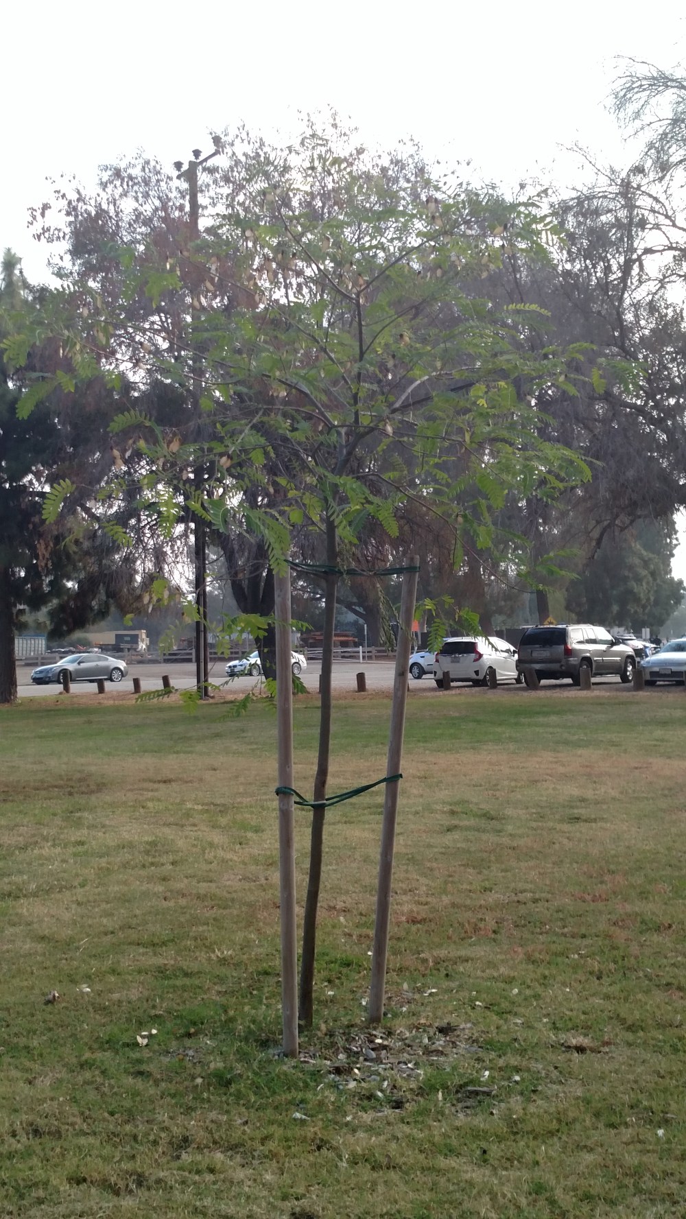 img_20161015_0846163181