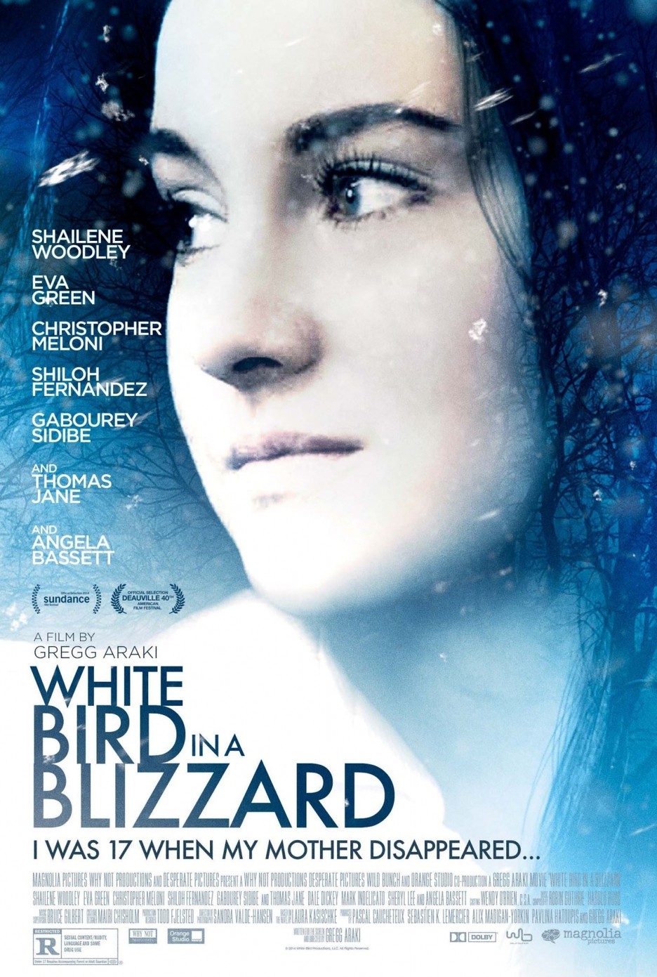 White Bird in a Blizzard movie poster