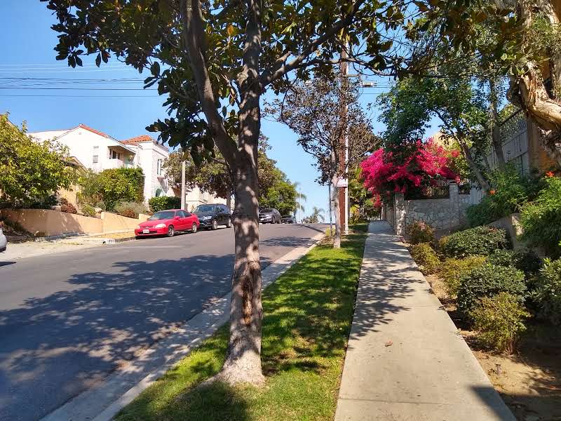 IMG_20181110_112546861_HDR