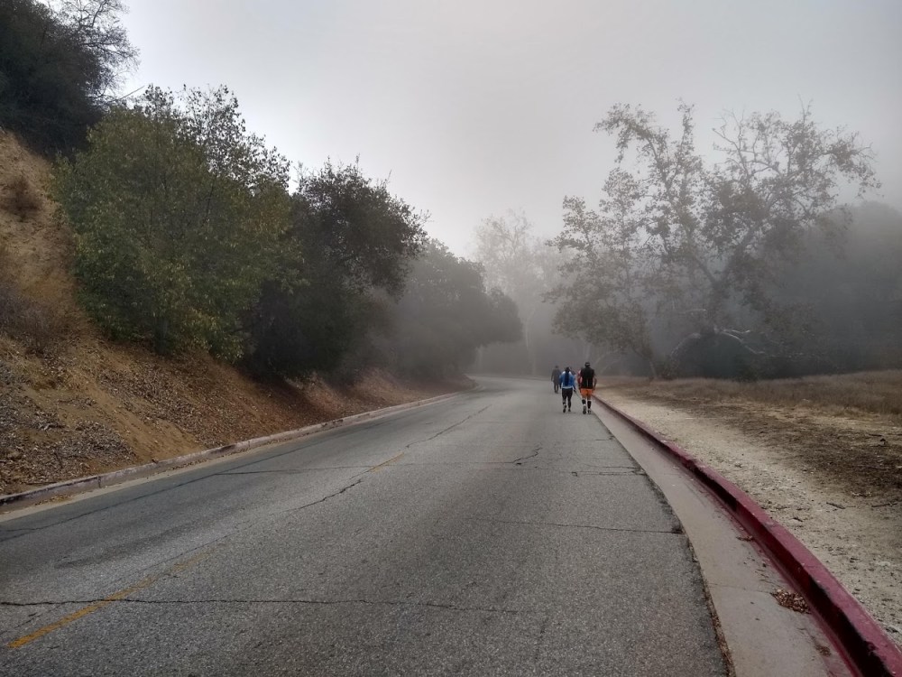 IMG_20181117_072723219_HDR