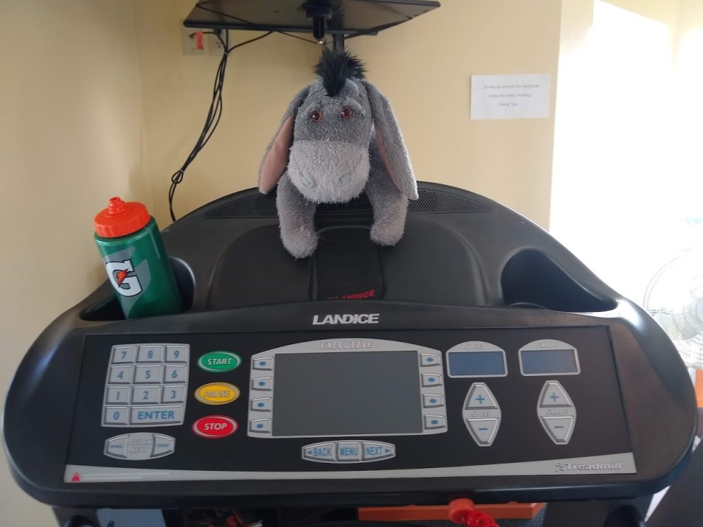 IMG_20181124_151426866