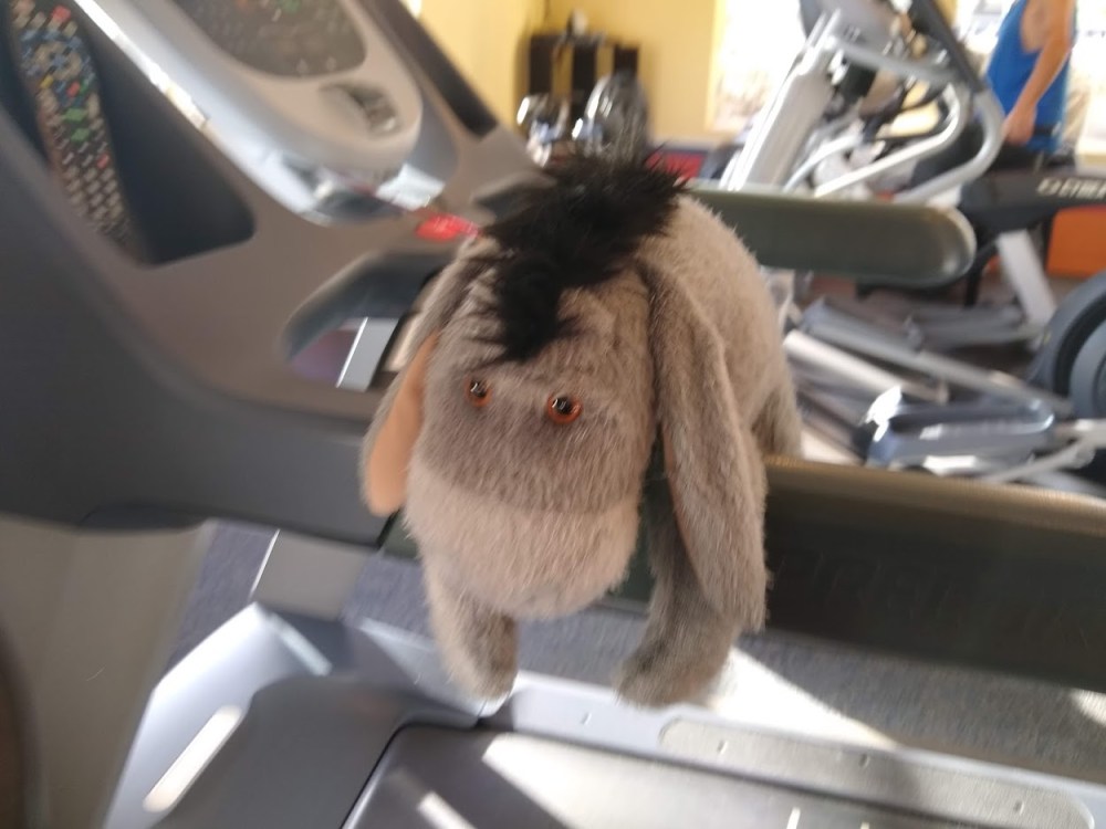 IMG_20181124_152512023