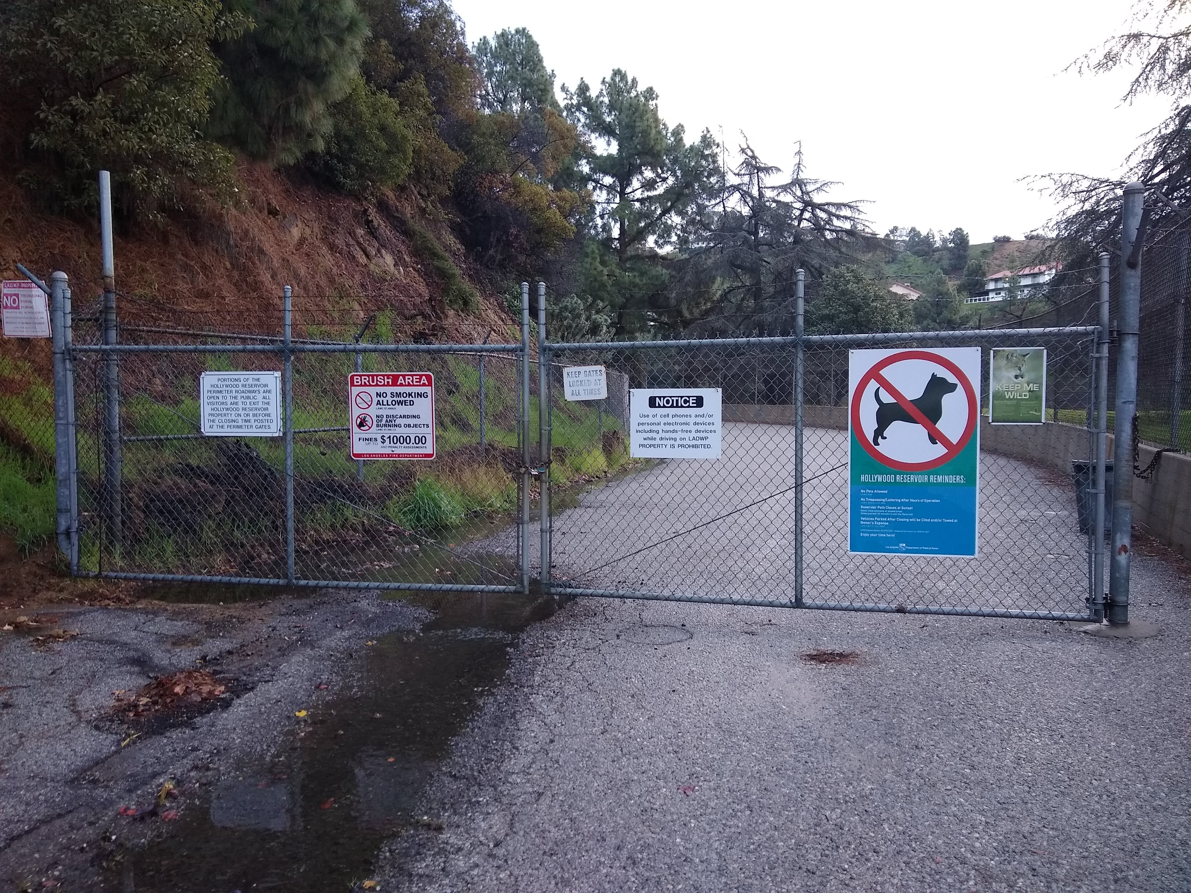 img_20190209_074143938