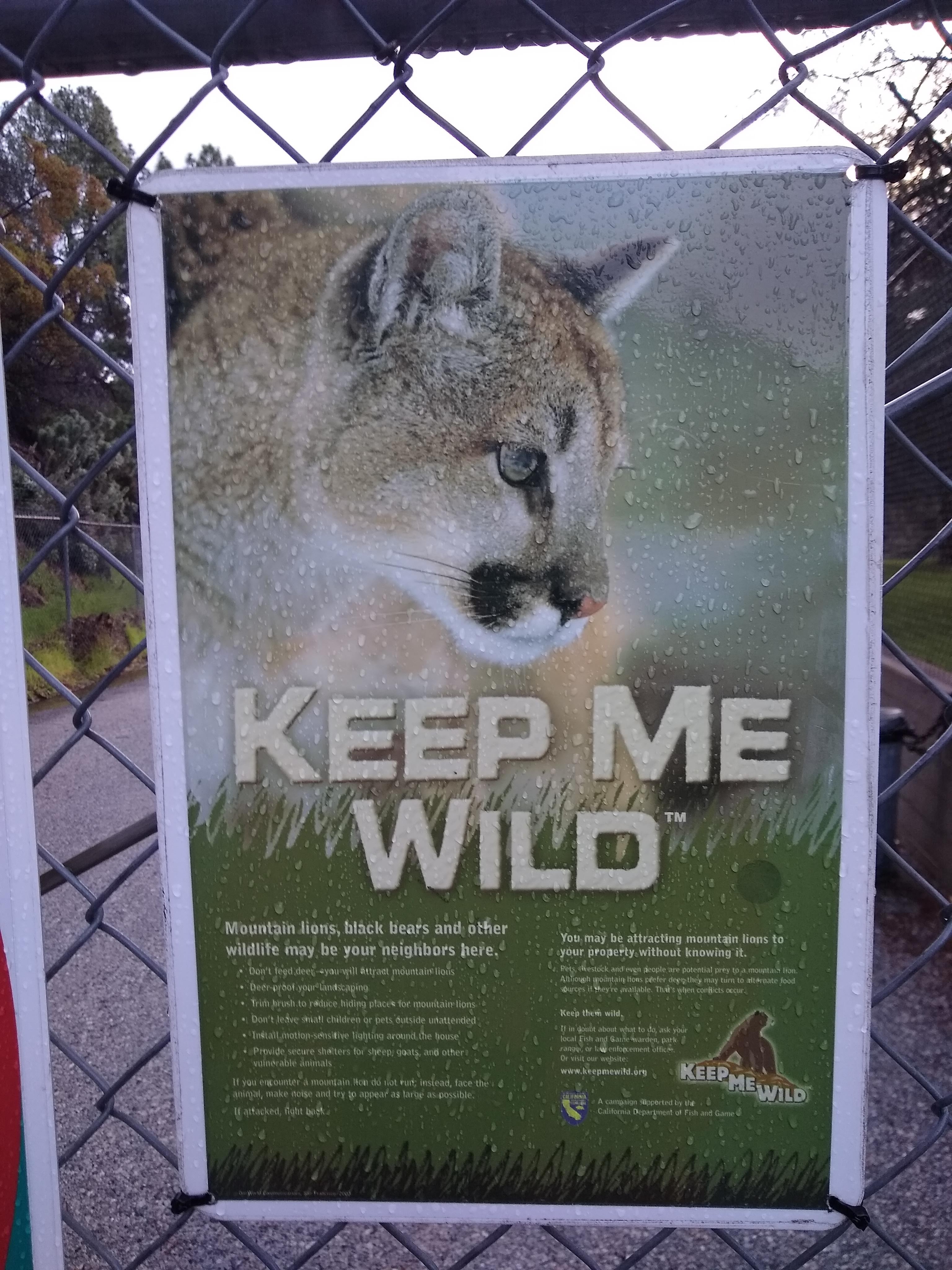 img_20190209_074159925